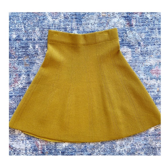 Zara Skirt - Picture 2 of 3